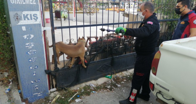 İTFAİYE'DEN KURTARMA OPERASYONU