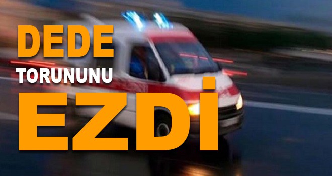 DEDE TORUNUNU EZDİ