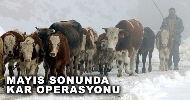 MAYIS SONUNDA KAR OPERASYONU