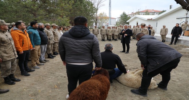 MEHMETCİKLERİMİZ İÇİN KURBAN...