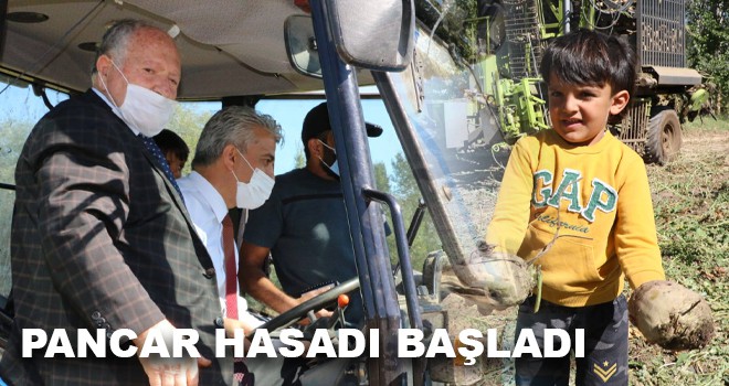 PANCAR HASADI BAŞLADI