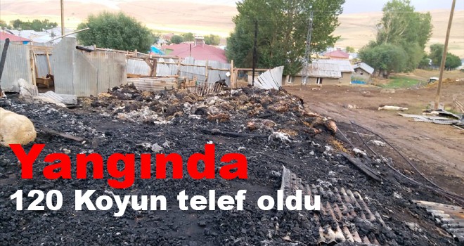 Ahırda çıkan yangında 120 Koyun telef oldu
