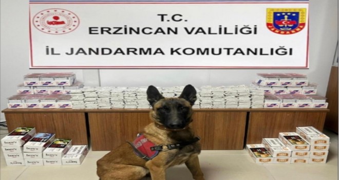 JANDARMA'DAN KAÇAKÇILARA GEÇİT YOK