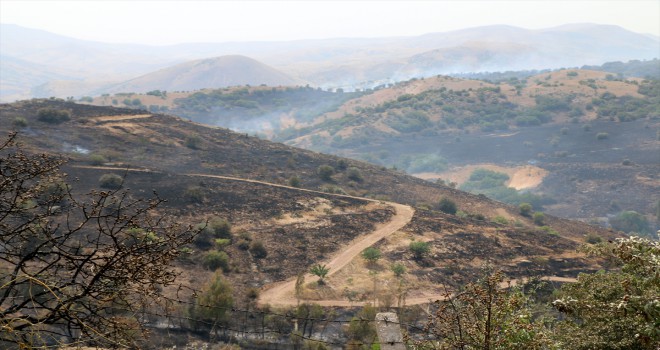 Malatyada 50 hektarlık alan yangında zarar gördü
