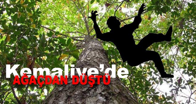 AĞAÇTAN DÜŞEN KİŞİ HAYATINI KAYBETTİ