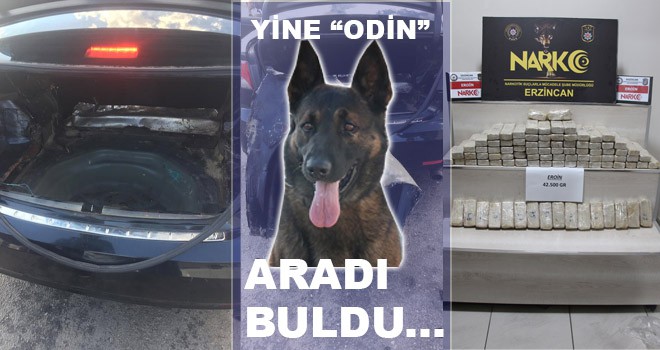 YİNE ODİN... ARADI BULDU.