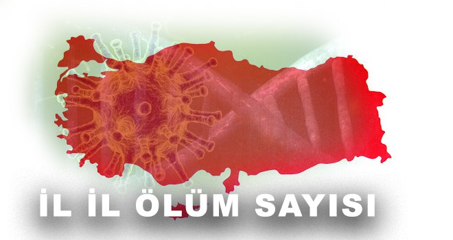 İL İL ÖLÜM SAYISI