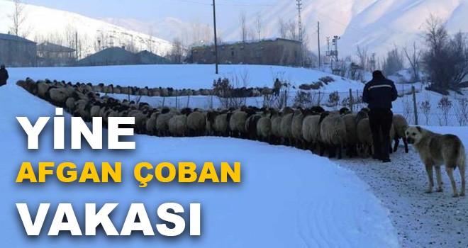 ÇADIRDA ÖLÜ BULUNDU