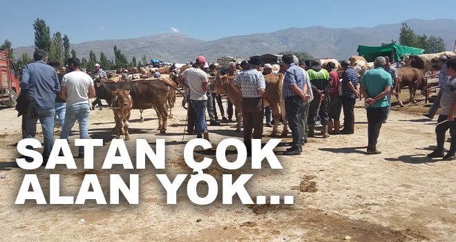 KURBANLIK ÇOK ALAN YOK