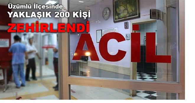 ÜZÜMLÜDE ZEHİRLENME