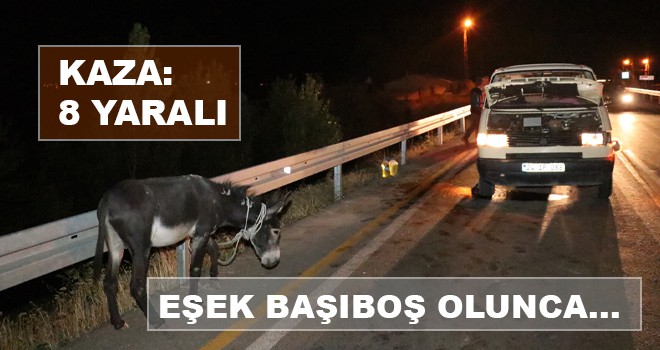EŞEK BAŞIBOŞ OLUNCA...