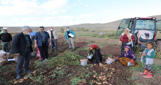 SONBAHAR HASADI BAŞLADI