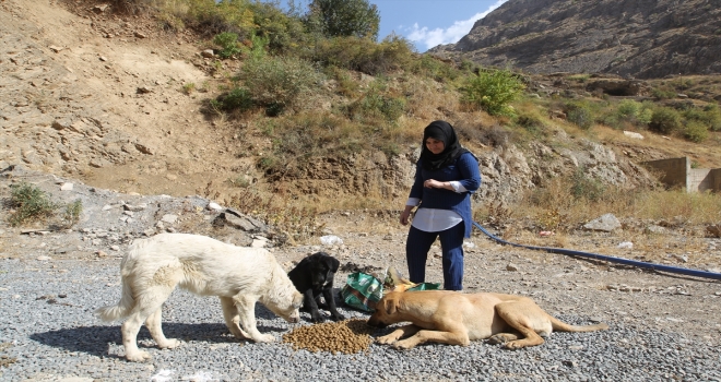 Kekliği ölünce kendini hayvanlara adadı