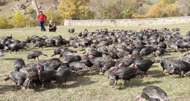 Şemdinlide huzurla birlikte yatırım iklimi oluştu 