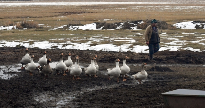 Kış sofralarının vazgeçilmez lezzetine kadın eli değiyor