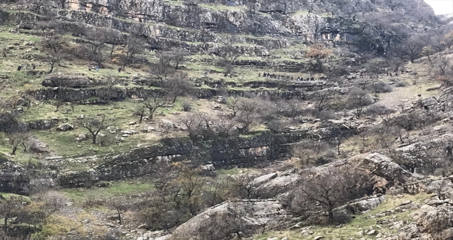 Hakkaride uçurumdan düşen kişi öldü