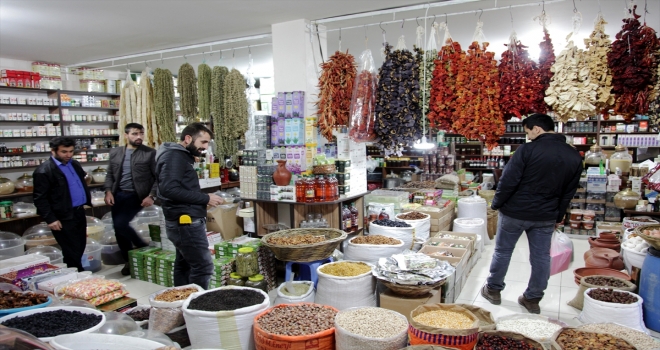 Ahlatta aktarlarda kış yoğunluğu