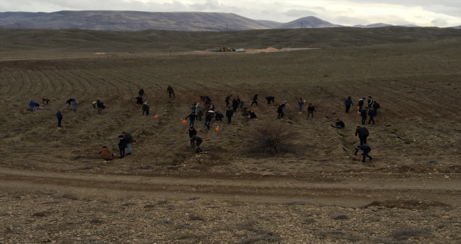 Gençler fidan dikim etkinliğinde buluştu