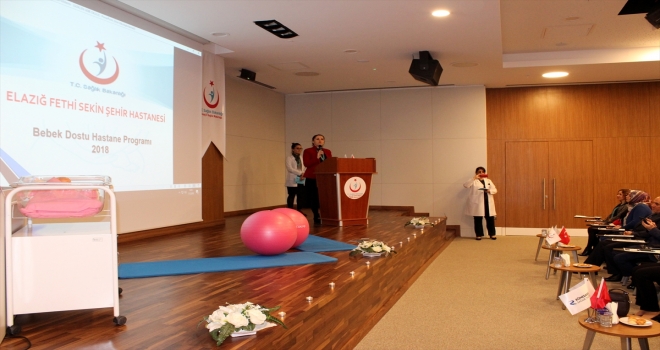 Bebek Dostu Hastane eğitim programı 