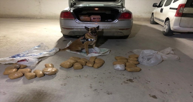 Vanda uyuşturucu operasyonu