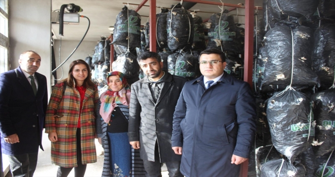 Tarım ve Orman Müdürü Kalya, Ahlat ve Hizanı ziyaret etti 