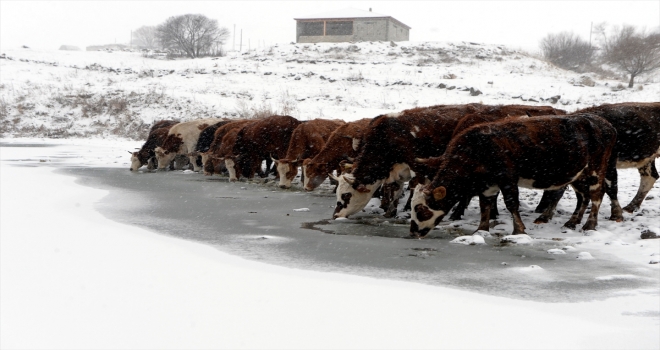 Aktaş Gölünün yüzeyi buz tuttu