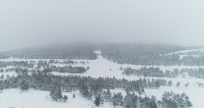 Doğuda kar hem çile hem güzellik getirdi 