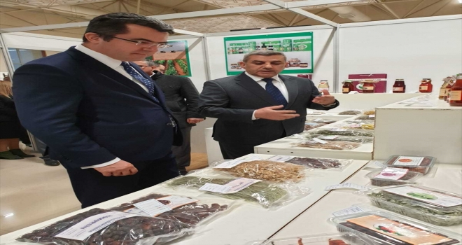 Türkiye Azerbaycan dostluğu bölgesel istikrar için çok önemli