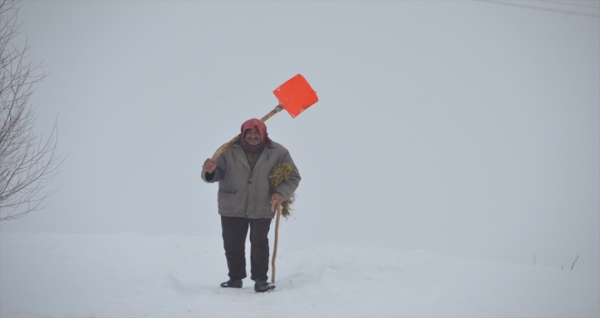 Doğu Anadoluda kış