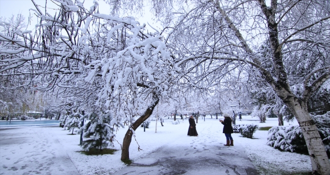 Doğu ve Güneydoğu Anadoluda kış