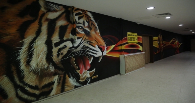 Yeni Malatya Stadında grafiti çalışması