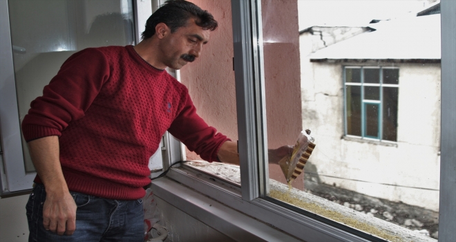 Beş yıldır kışın pencereye gelen kuşları besliyor