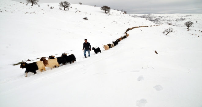 Besicilerin zorlu yolculuğu 