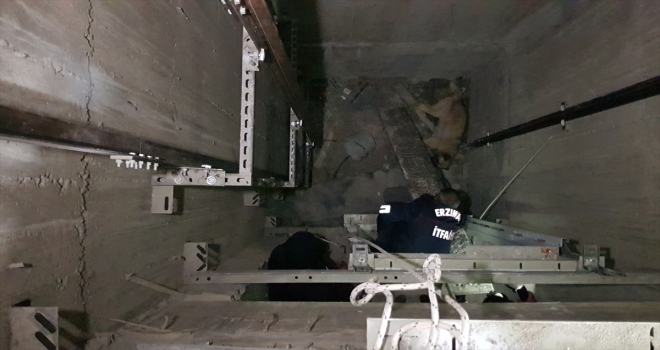 Asansör boşluğuna düşen köpeği itfaiye kurtardı