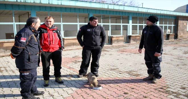 Kuyuya düşen köpek yavrusu kurtarıldı