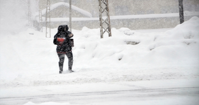 Doğu Anadoluda kış 