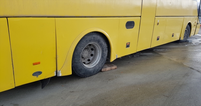 DİKKATSİZ ŞOFÖR CANINDAN OLDU