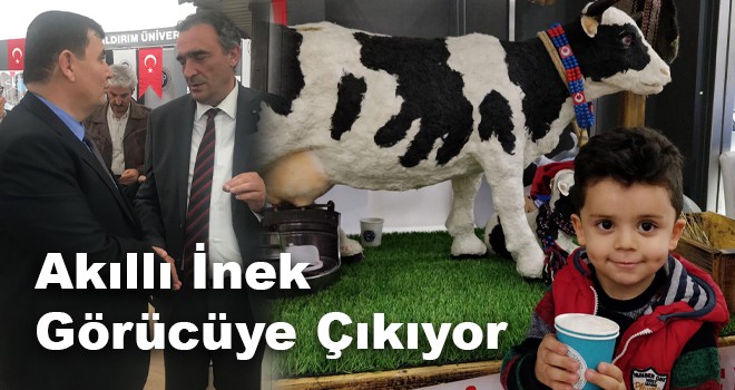 AKILLI İNEK PROJESİ GÖRÜCÜYE ÇIKIYOR