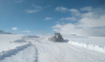 Kar ve Tipi Köy yollarını kapattı