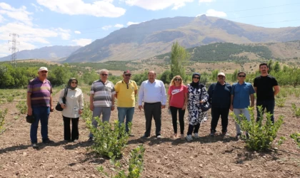 Genç mühendis, Aronya bahçesi kurdu.