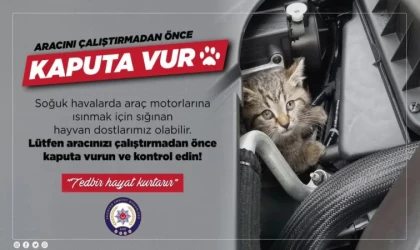 Aman Dikkat ! Aracınızı Çalıştırmadan önce...