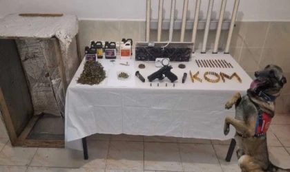 Jandarma, Kenevir yetiştiren 1 kişiyi tutukladı