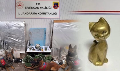 Jandarma; Operasyonlara devam