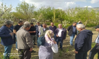 Çiftçiye Budama eğitimi veriliyor