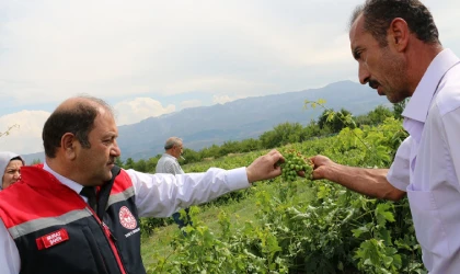 Üzümlü’de Dolu Zarar Verdi
