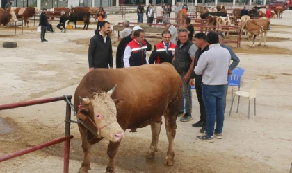 Erzincan Hayvan Pazarında bayram yoğunluğu