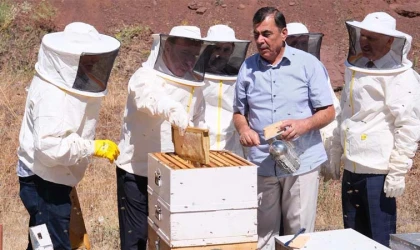 Erzincan Geven Balı’nda İlk Hasat Gerçekleşti