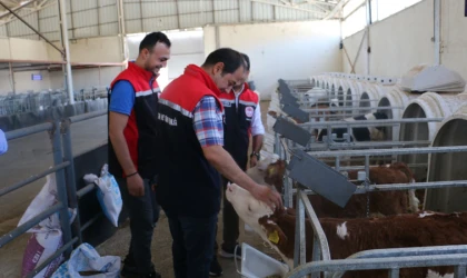 Erzincan’da ekipler teyakkuza geçirildi