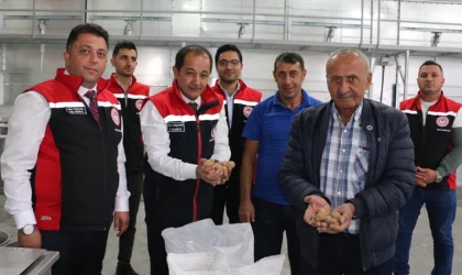 1398 rakımlı köyde ülkenin en kaliteli cevizleri yetiştiriliyor