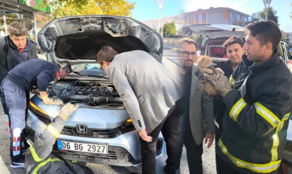 Erzincan İtfaiyesinden Yavru Kedi Kurtarma Operasyonu